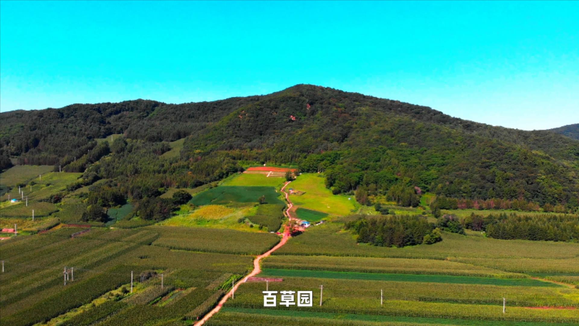 黑龙江神农百草园